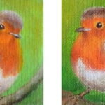 Roodborstjes in groen Roodborstjes in groen