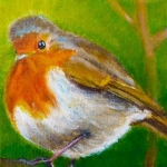 Roodborst Roodborst