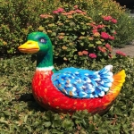 Ducky Ducky