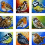 Vogeltjes Vogeltjes