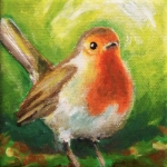 Roodborst Roodborst