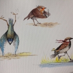Rare Vogels 1 Rare Vogels 1