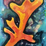 Coral Coral