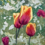 Tulpen in mijn tuin Tulpen in mijn tuin