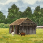 Sheep shed Sheep shed