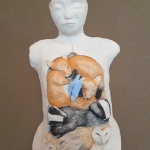 Anatomisch model: nurture Anatomisch model: nurture