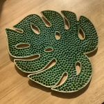 Schaal blad gatenplant Schaal blad gatenplant