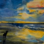 hond op het strand hond op het strand