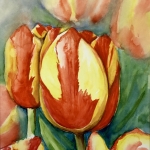 Tulp Tulp