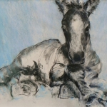 Newborn Newborn