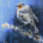 Blauw roodborstje Blauw roodborstje