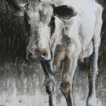 Wintercow Wintercow