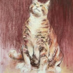 Rode kater Rode kater