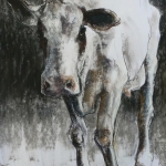 Wintercow Wintercow
