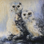 Blue owl chicks Blue owl chicks