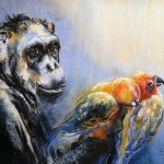 Chimp and her hugging parrots Chimp and her hugging parrots