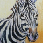 Zebra Zebra