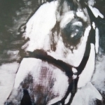 Dierbaar paard Dierbaar paard