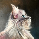 Maine Coon Maine Coon