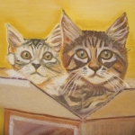 Dieren 6 Dieren 6