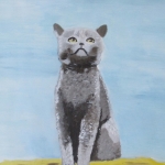 Dieren 7 Dieren 7