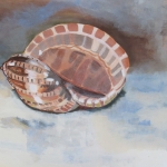 Schelpen 4 Schelpen 4