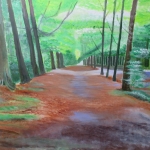 Heilooerbos Heilooerbos