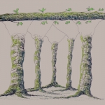 1 1