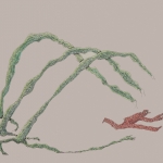 9 9