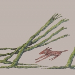 5 5