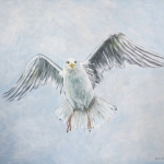 Free like a bird Free like a bird