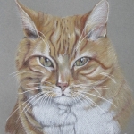 Karel in pastel Karel in pastel