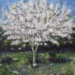 Mijn moeders Magnolia Mijn moeders Magnolia