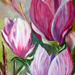 Magnolia Magnolia