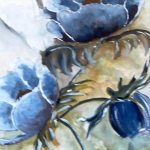 Blauwe annemonen Blauwe annemonen
