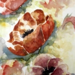 Anemonen Anemonen