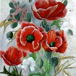 Papavers Papavers