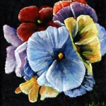 Viooltjes1 Viooltjes1