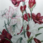 Bloemetjes Bloemetjes
