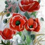Papavers Papavers