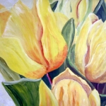 Gele tulpen Gele tulpen