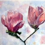 Bloemen van tulpenboom Bloemen van tulpenboom