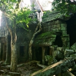 Angkor: Ta Prohm