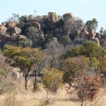 Matobo N.P.: 1379 Matobo N.P.: 1379