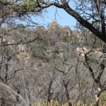 Matobo N.P.: 1380 Matobo N.P.: 1380