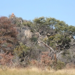 Matobo N.P.: 1423 Matobo N.P.: 1423