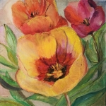 Tulpen Tulpen