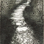 landschap landschap