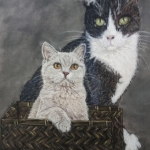 Poes in mand Poes in mand