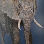 Olifant Olifant